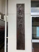 67906-2.jpg