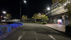 67914-1.jpg