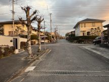 67934-3.jpg