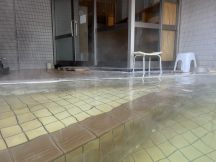 68131-4.jpg