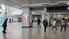 68216-1.jpg