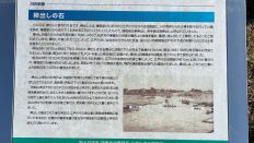 68368-4.jpg