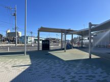 68391-5.jpg