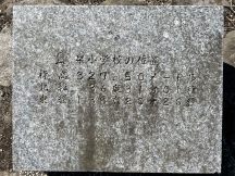 68399-1.jpg