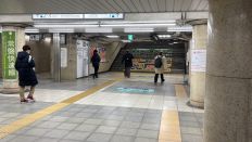 68421-3.jpg