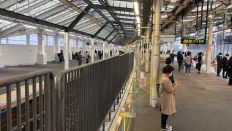 68590-2.jpg