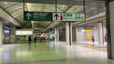 68591-1.jpg