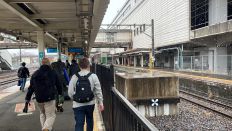 68598-1.jpg