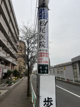 68654.jpg