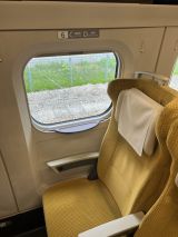 68981-3.jpg