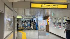 69026-1.jpg