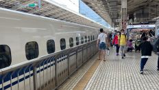 69026.jpg