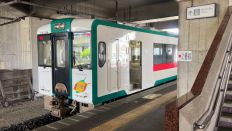 69036-1.jpg