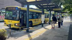 69151.jpg