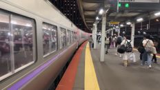 69166-1.jpg