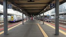 69167-2.jpg