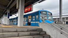 69181-2.jpg