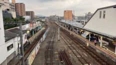 69182-1.jpg