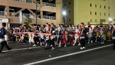 69449-10.jpg