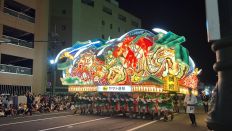 69450-7.jpg