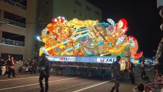 69451.jpg