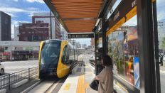 69732-2.jpg