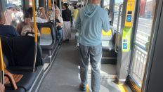 69736-1.jpg