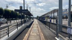 69742-2.jpg