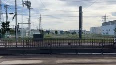 69747-2.jpg