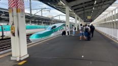69906.jpg