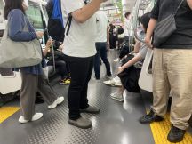 69981-2.jpg