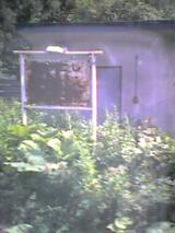 040731_1210~001.jpg