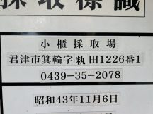 70062.jpg
