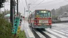 70091.jpg