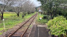 70103-2.jpg