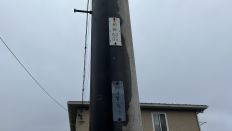 70185-1.jpg