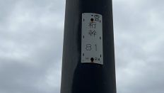 70186-2.jpg