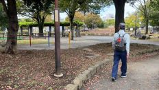 70191-1.jpg
