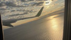 70292-1.jpg