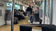70295-2.jpg