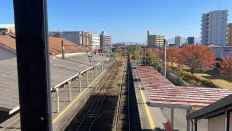 70296-4.jpg
