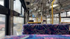 70342-1.jpg