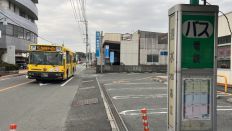 70342.jpg