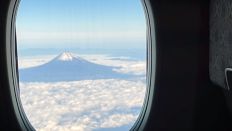 70355-1.jpg