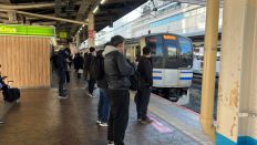 70359-2.jpg
