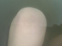 70381-4.jpg