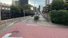 70491-1.jpg