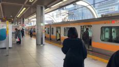 70503-1.jpg