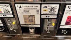 70516-8.jpg