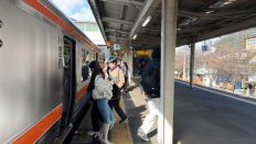 70694.jpg